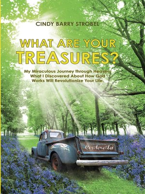 cover image of What Are Your Treasures?
